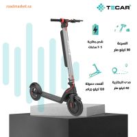 TS-011  Falcon  E-Scooter 36V 10AH 350W 10" tire