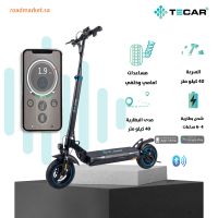 TS-026  E-Scooter 48V 12.5Ah 500W 10 inch tire