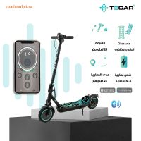 TS-977 Electric scooter with app, 7.8Ah 250W 36V 8.5" tire